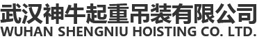武漢草莓视频ios起重吊裝有限公司